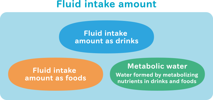 Fluid intake amount