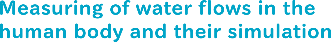 Measuring of water flows in the human body and their simulation