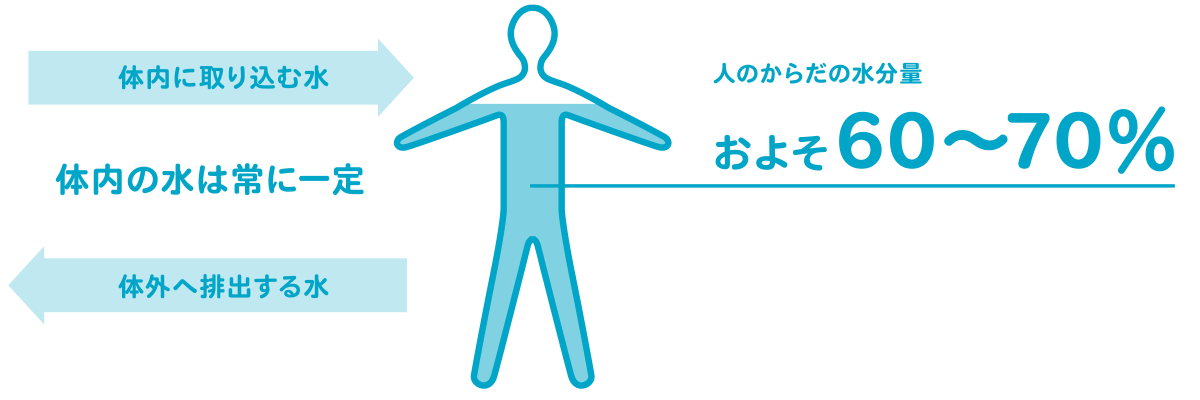 テーマ4 水を活かす | 研究テーマ | 慶應医学部 サントリー 共同研究プロジェクト 生命をめぐる水